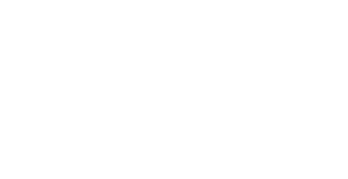 moysies & partners